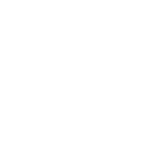 prohibitionnye