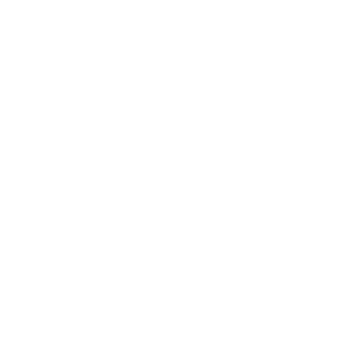 velocity